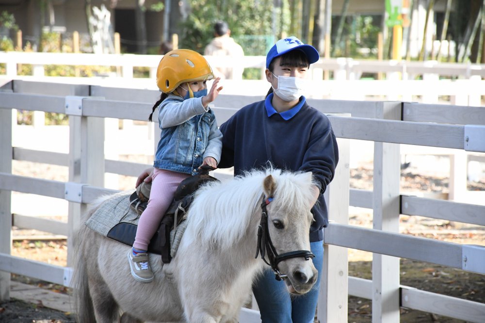 🐐 이타바시 어린이 동물원(이타바시 코도모 도부츠엔) 이미지 7